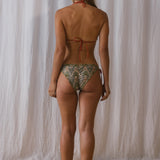 BOTTOM PAPAYA RIZO