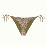 BOTTOM PAPAYA BASIC